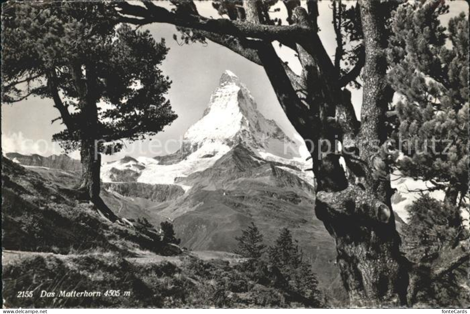 11762297 Matterhorn VS  Matterhorn VS - Other & Unclassified