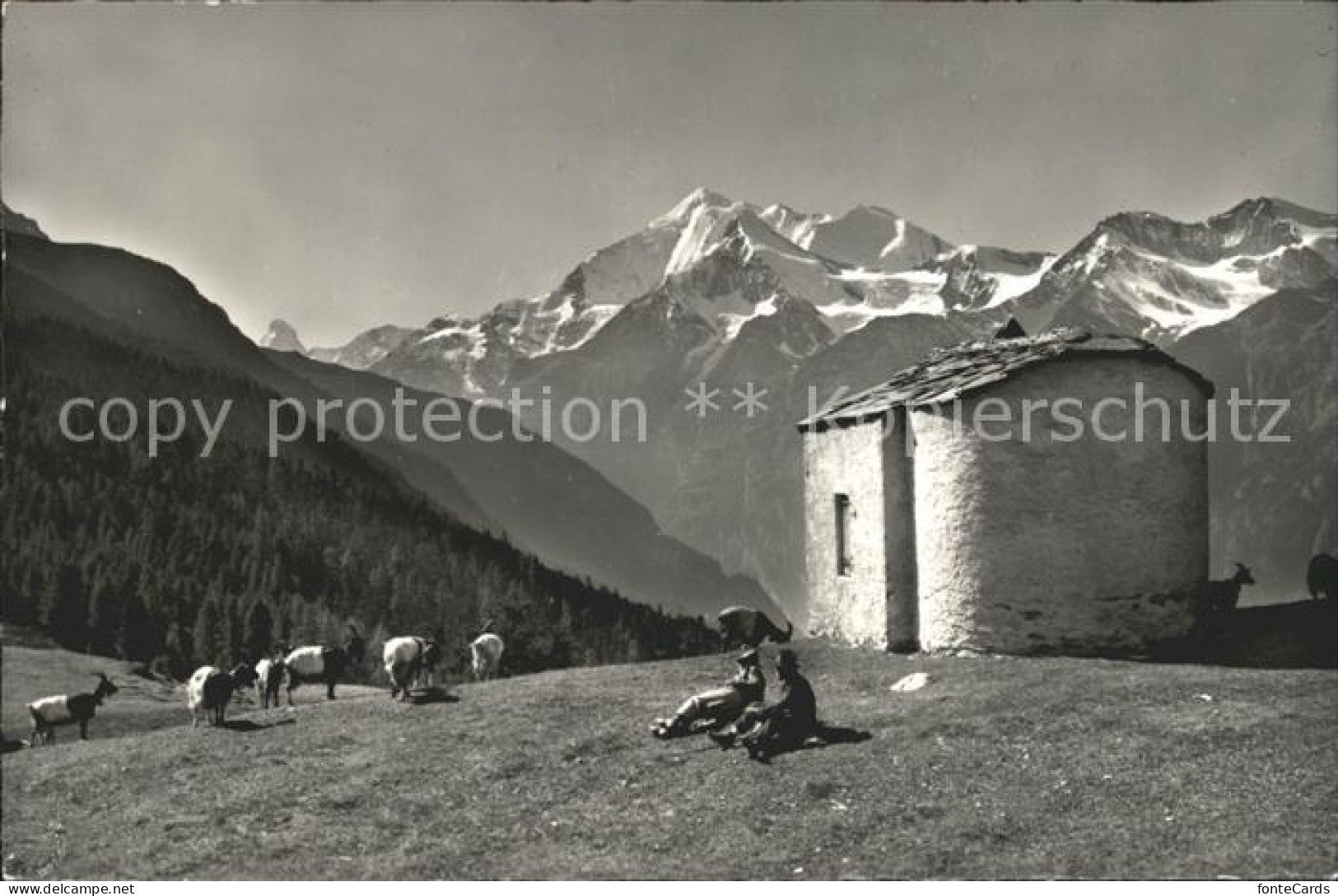 11761907 Graechen VS Hannig Alp Matterhorn Weisshorn Bieshorn  Graechen - Altri & Non Classificati