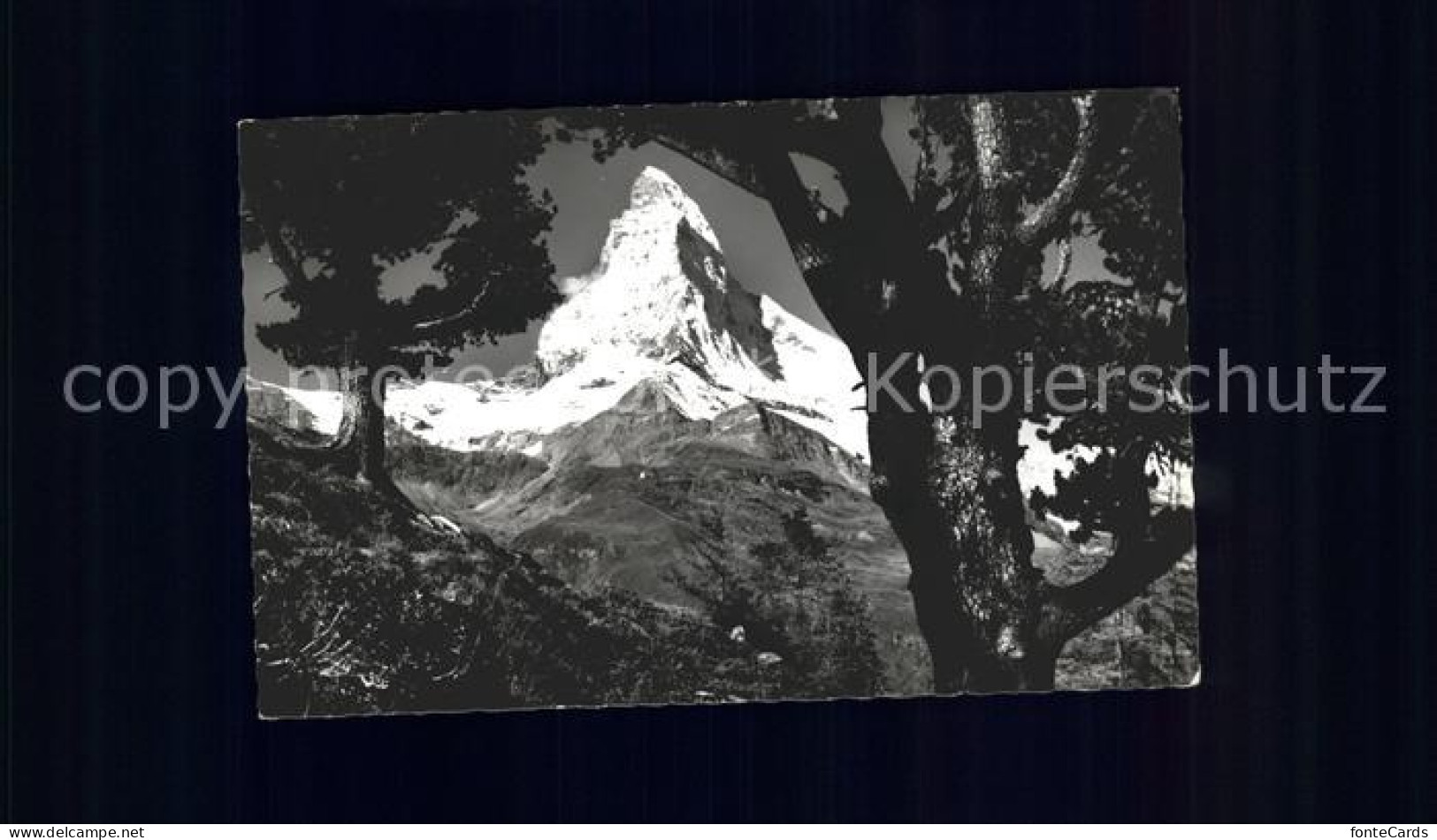 11761877 Zermatt VS Blick Arvenwald Riffelalp Matterhorn  - Sonstige & Ohne Zuordnung