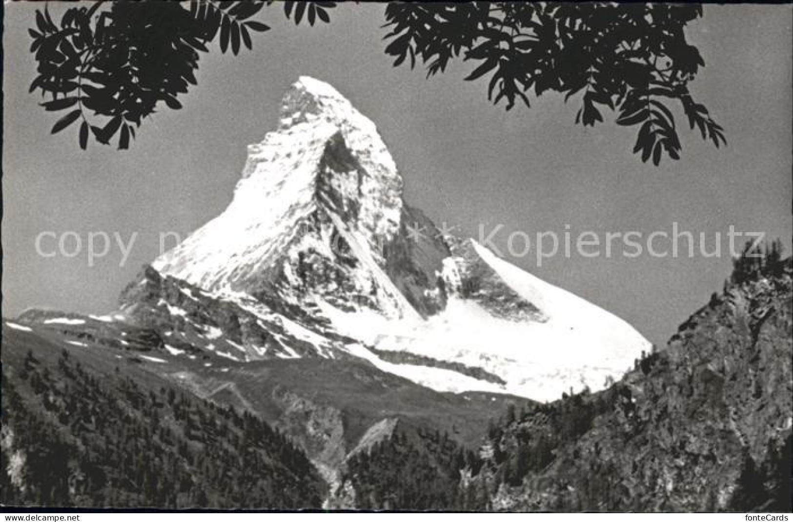 11761866 Zermatt VS Matterhorn  - Sonstige & Ohne Zuordnung