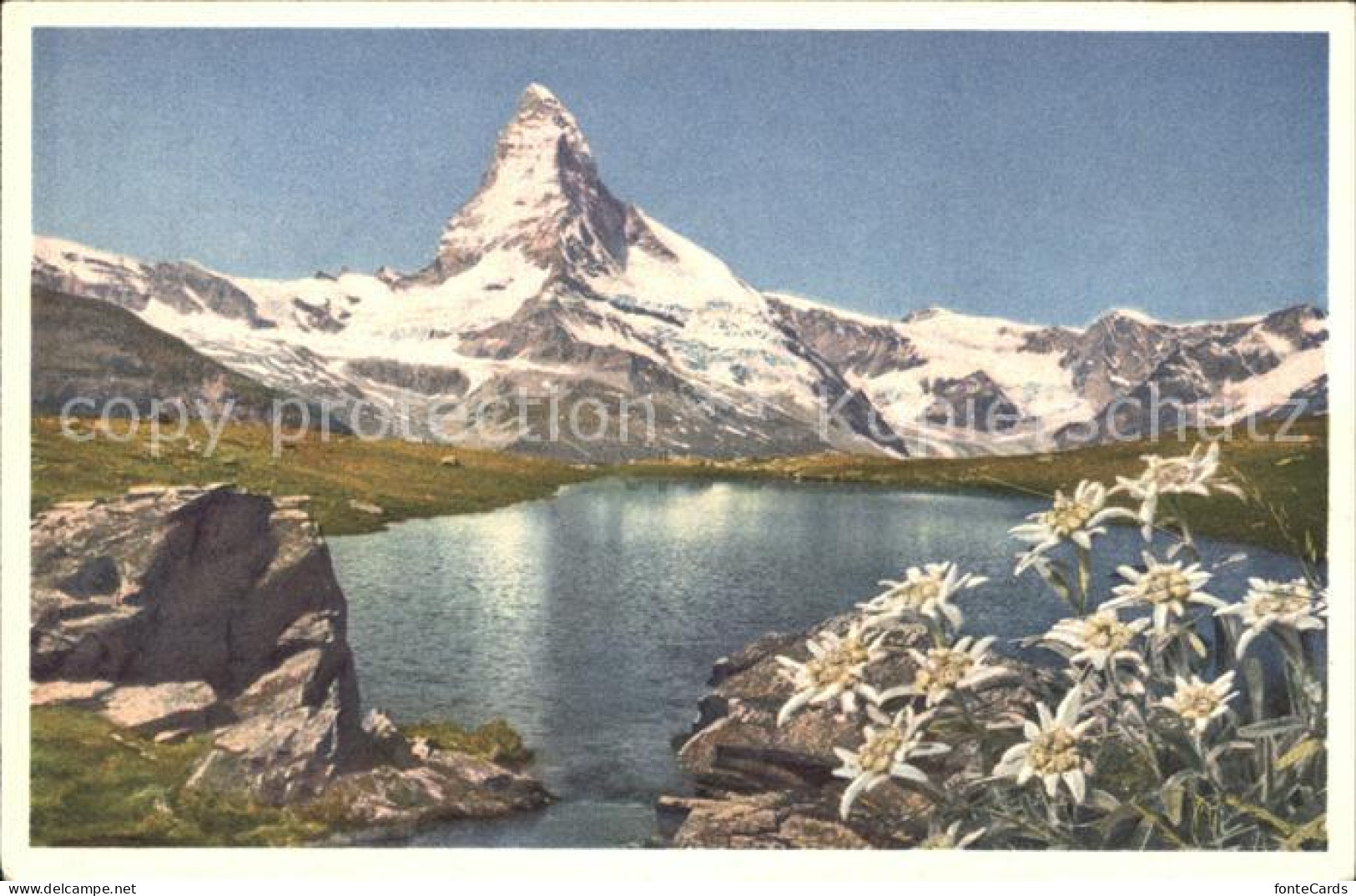 11761766 Zermatt VS Matterhorn Edelweiss  - Autres & Non Classés