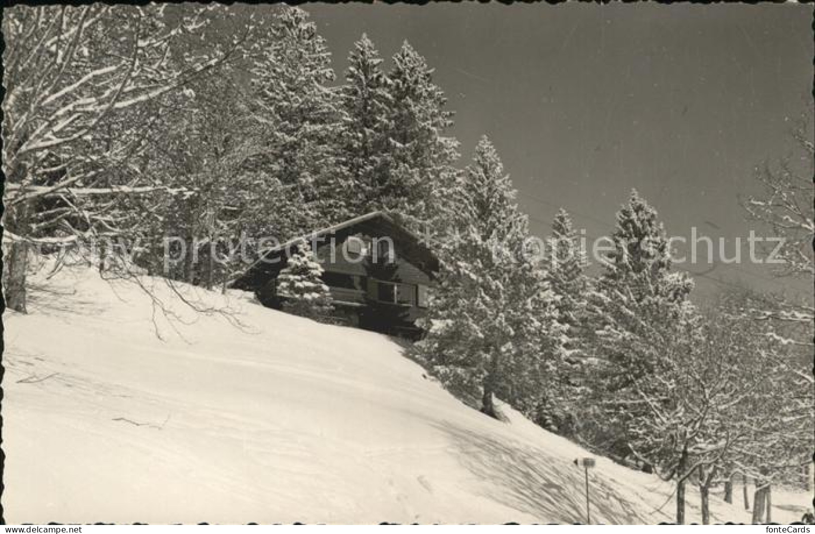 11759166 Braunwald GL  Braunwald GL - Other & Unclassified