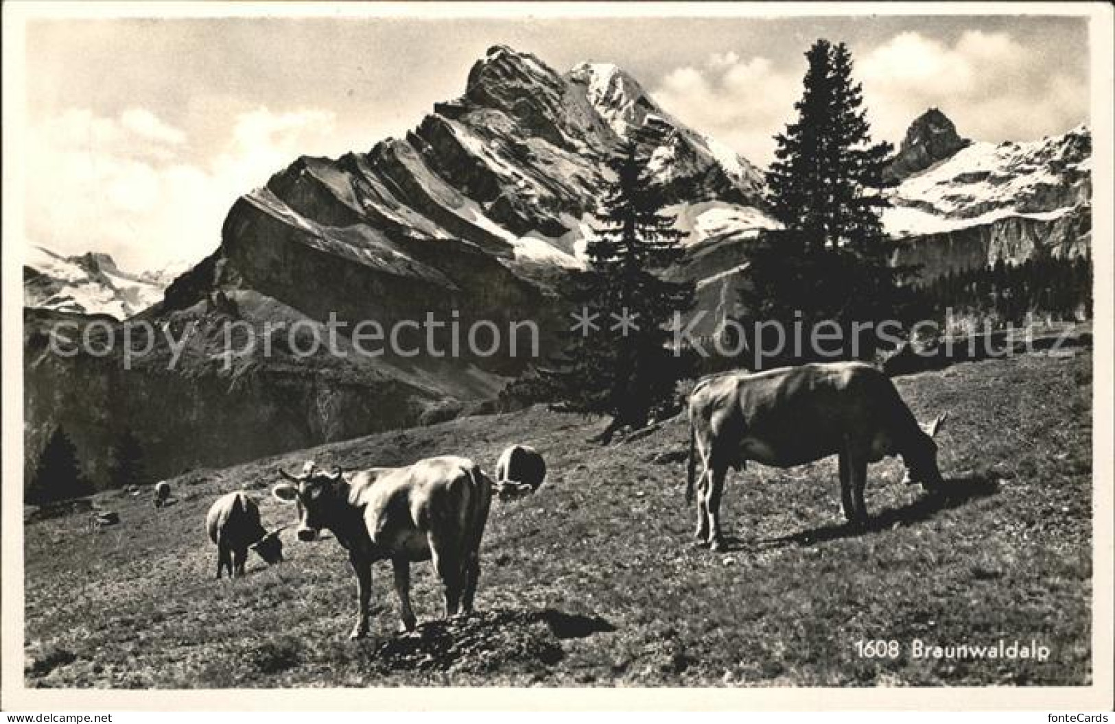 11758946 Braunwald GL Alpf Kuehe Braunwald - Sonstige & Ohne Zuordnung