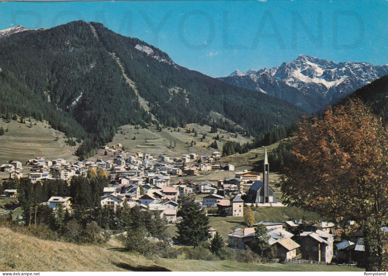 CARTOLINA  C14 POZZA DI FASSA M.1300,TRENTO,TRENTINO ALTO ADIGE-DOLOMITI-MONTAGNA,VACANZA,BELLA ITALIA,VIAGGIATA 1981 - Trento