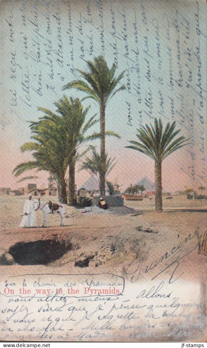 1906. PORT-SAID 10 C On POST CARD On The Way To The Pyramids Cancelled ALEXANDRIE EGYPT 19 JANV 06 To Fran... - JF432490 - Lettres & Documents