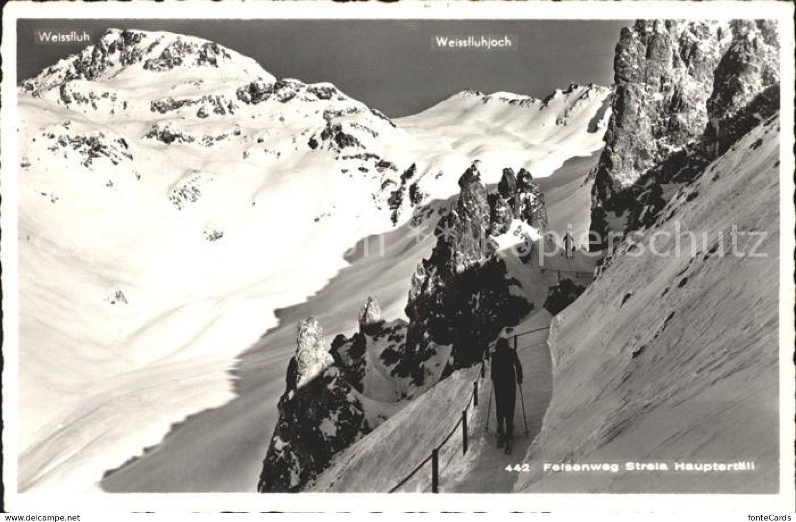 11758477 Weissfluhjoch Felsenweg Strela  Weissfluhjoch - Altri & Non Classificati