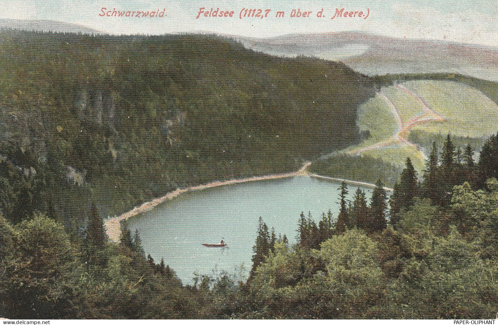 7820 FELDBERG, Feldsee, Blick über Den See, 1906 - Feldberg