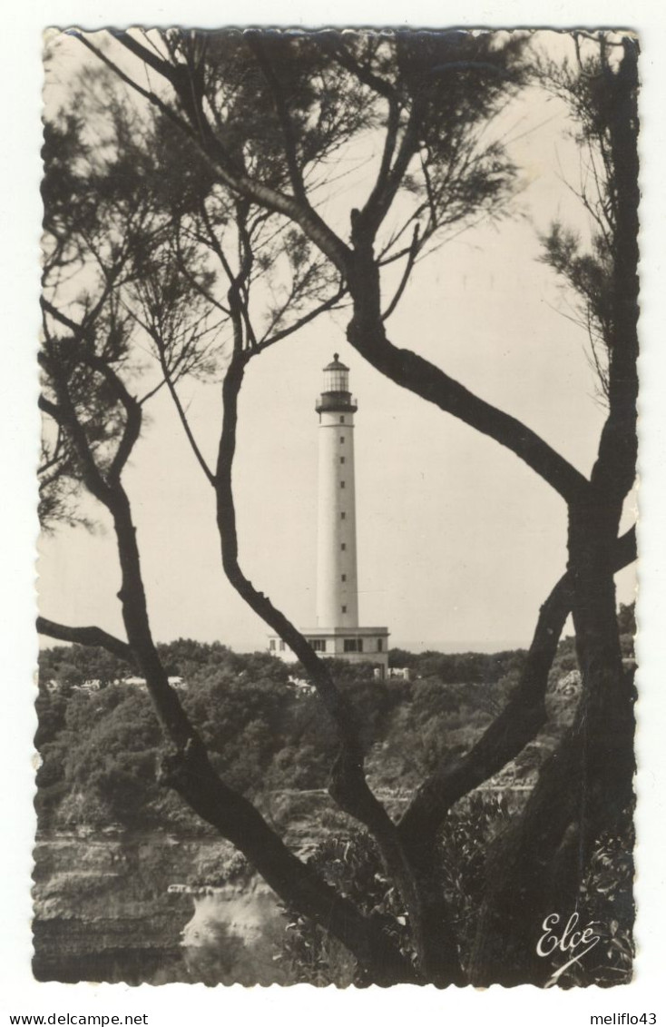 64/ CPSM - Biarritz - Le Phare Dans Les Tamaris - Biarritz