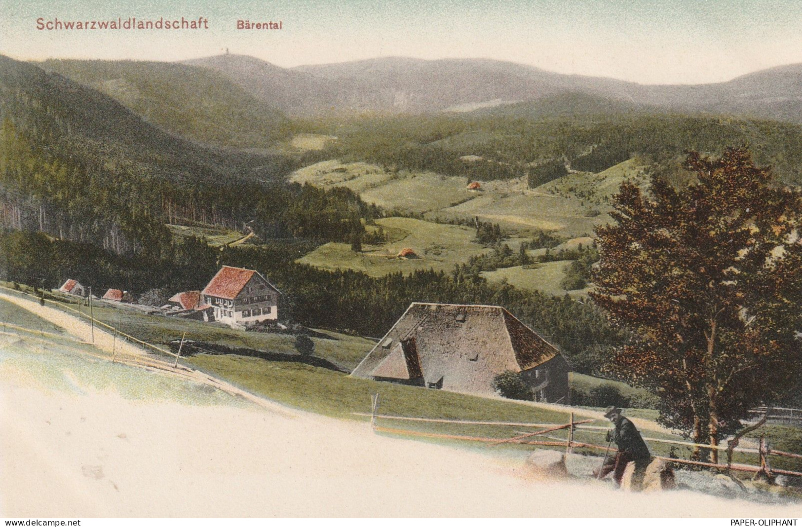 7820 FELDBERG - BÄRENTAL, Blick über Das Dorf, 1905, Trenkler - Feldberg