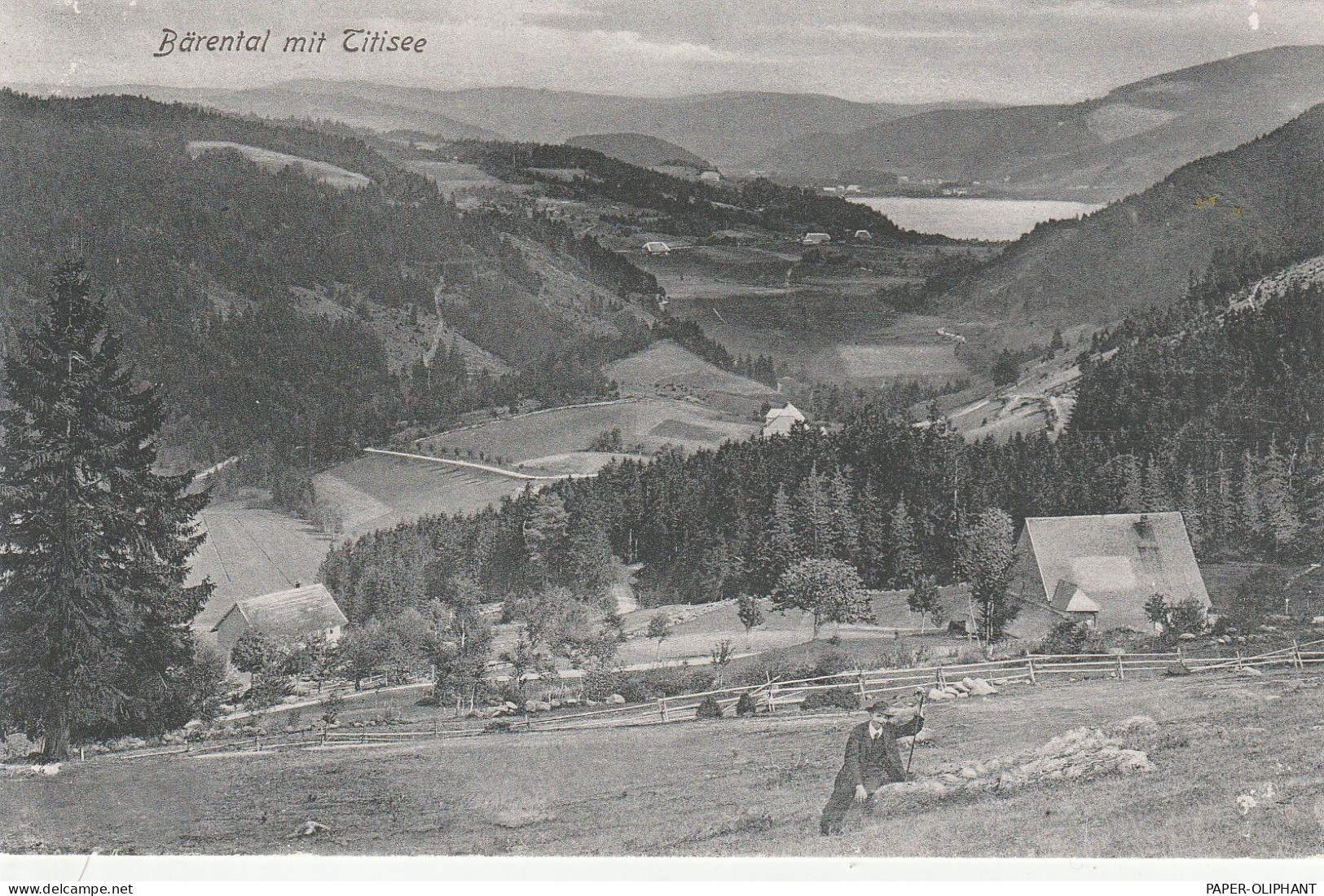 7820 FELDBERG - BÄRENTAL Mit Titisee, 1906, Trenkler - Feldberg