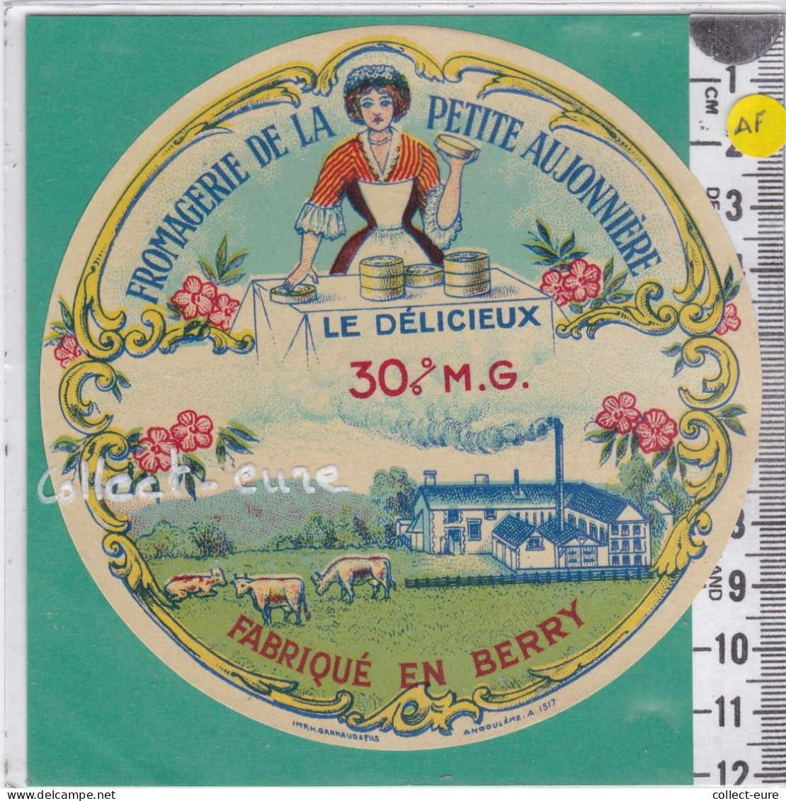 C1348 FROMAGE PETITE AUJONNIERE BERRY 30 % - Quesos