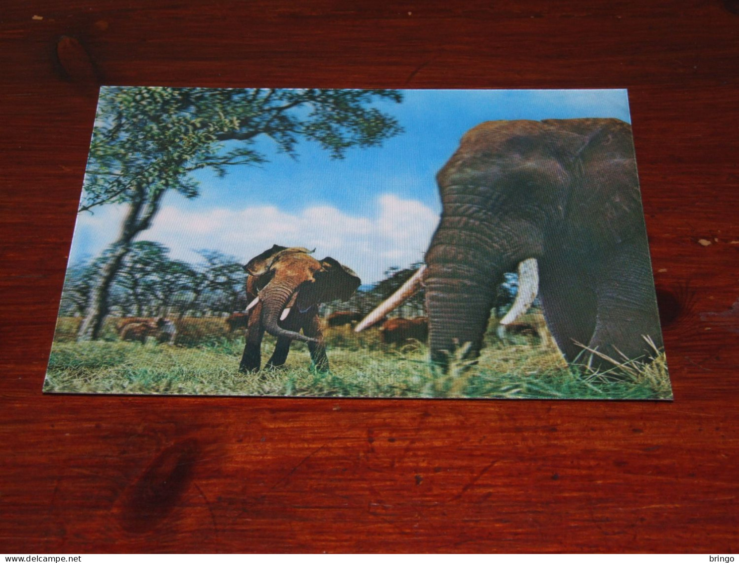 75705-       3 D CARD - OLIFANTEN / ELEPHANTS, DIEREN / ANIMALS / TIERE / ANIMAUX / ANIMALES - Elefanten