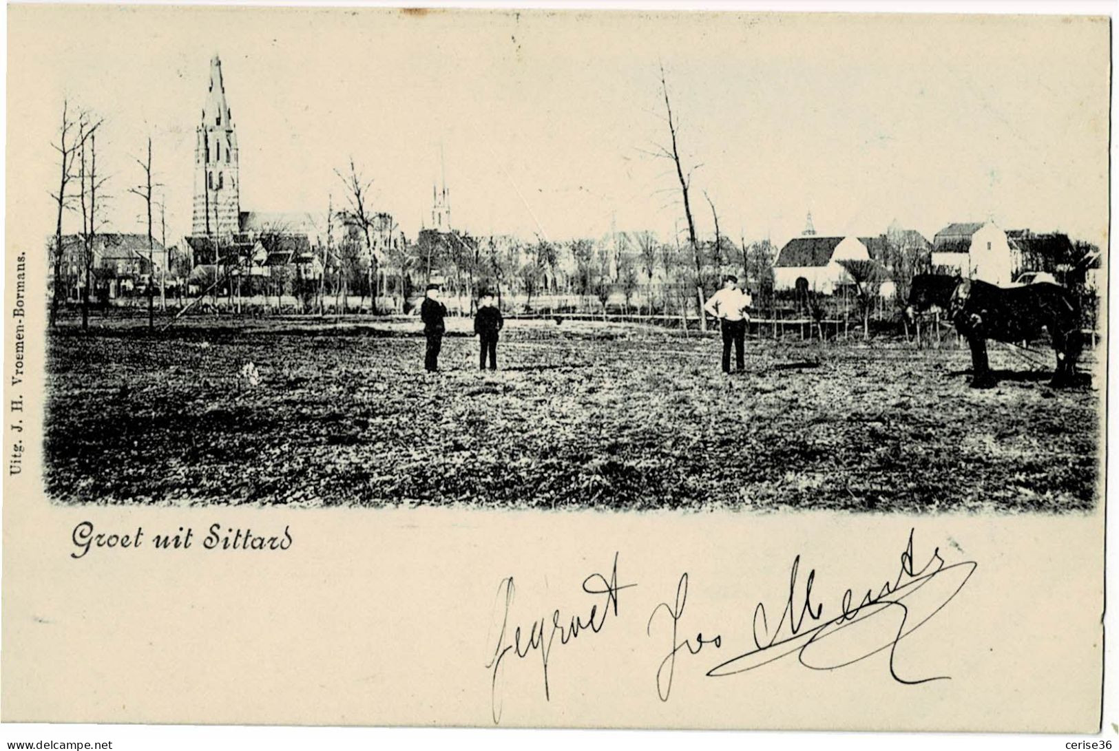 Groet Uit Sittard  Circulée En 1908 - Sittard