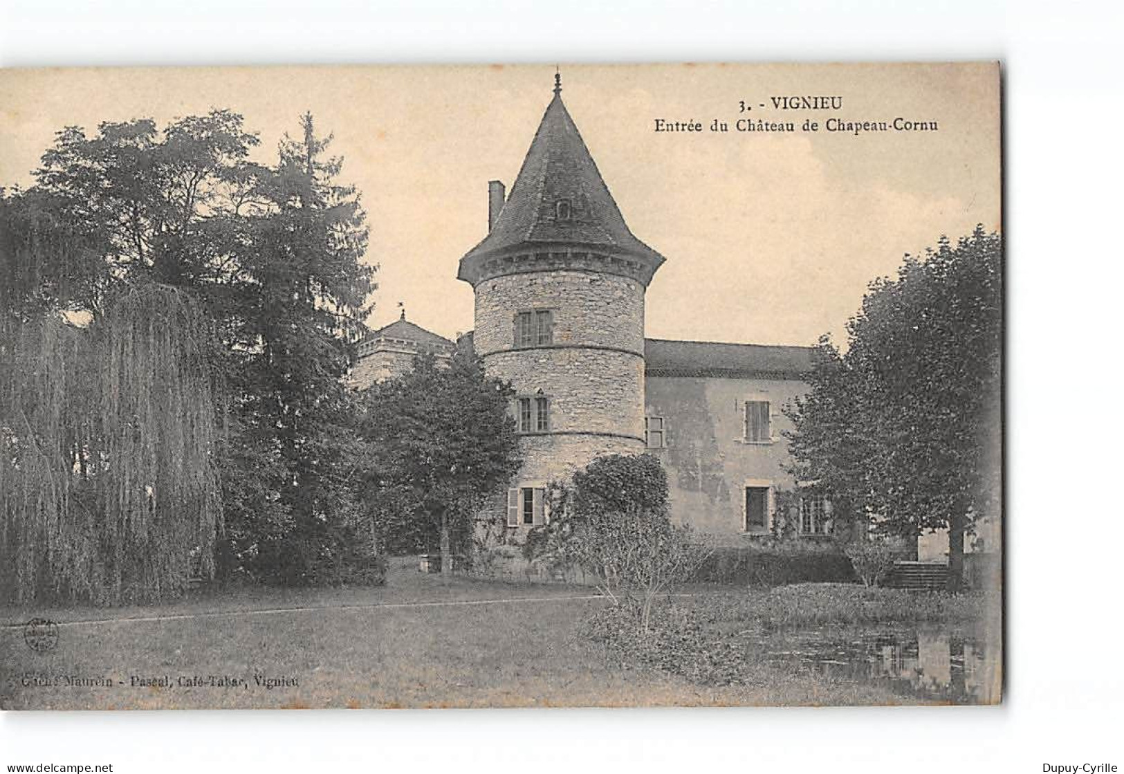 VIGNIEU - Entrée Du Château De Chapeau Cornu - Très Bon état - Andere & Zonder Classificatie
