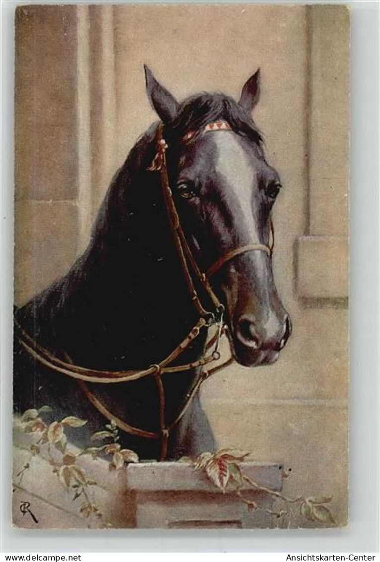 10012609 - Tiere-Pferde-sonstige T. S. N. Serie 1542, - Caballos