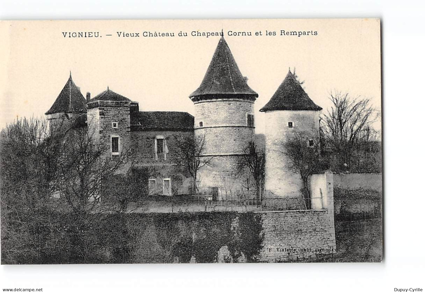 VIGNIEU - Vieux Château Du Chapeau Cornu Et Les Remparts - Très Bon état - Sonstige & Ohne Zuordnung