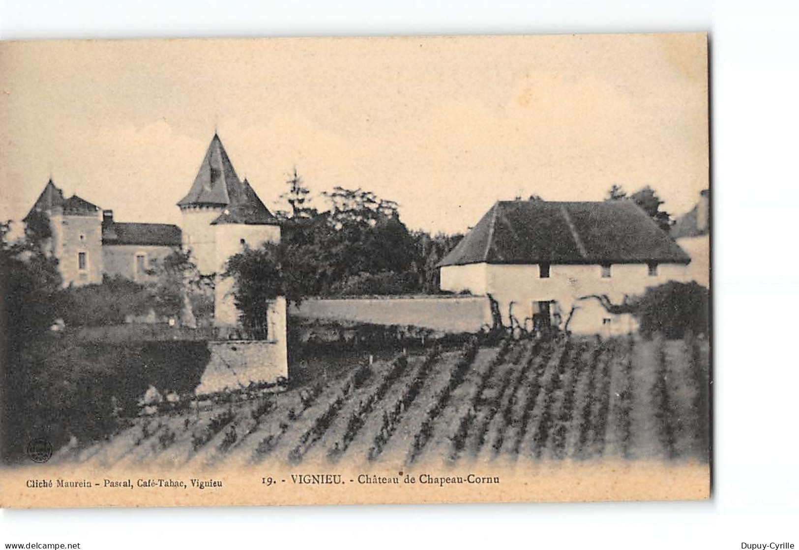 VIGNIEU - Château De Chapeau Cornu - Très Bon état - Sonstige & Ohne Zuordnung
