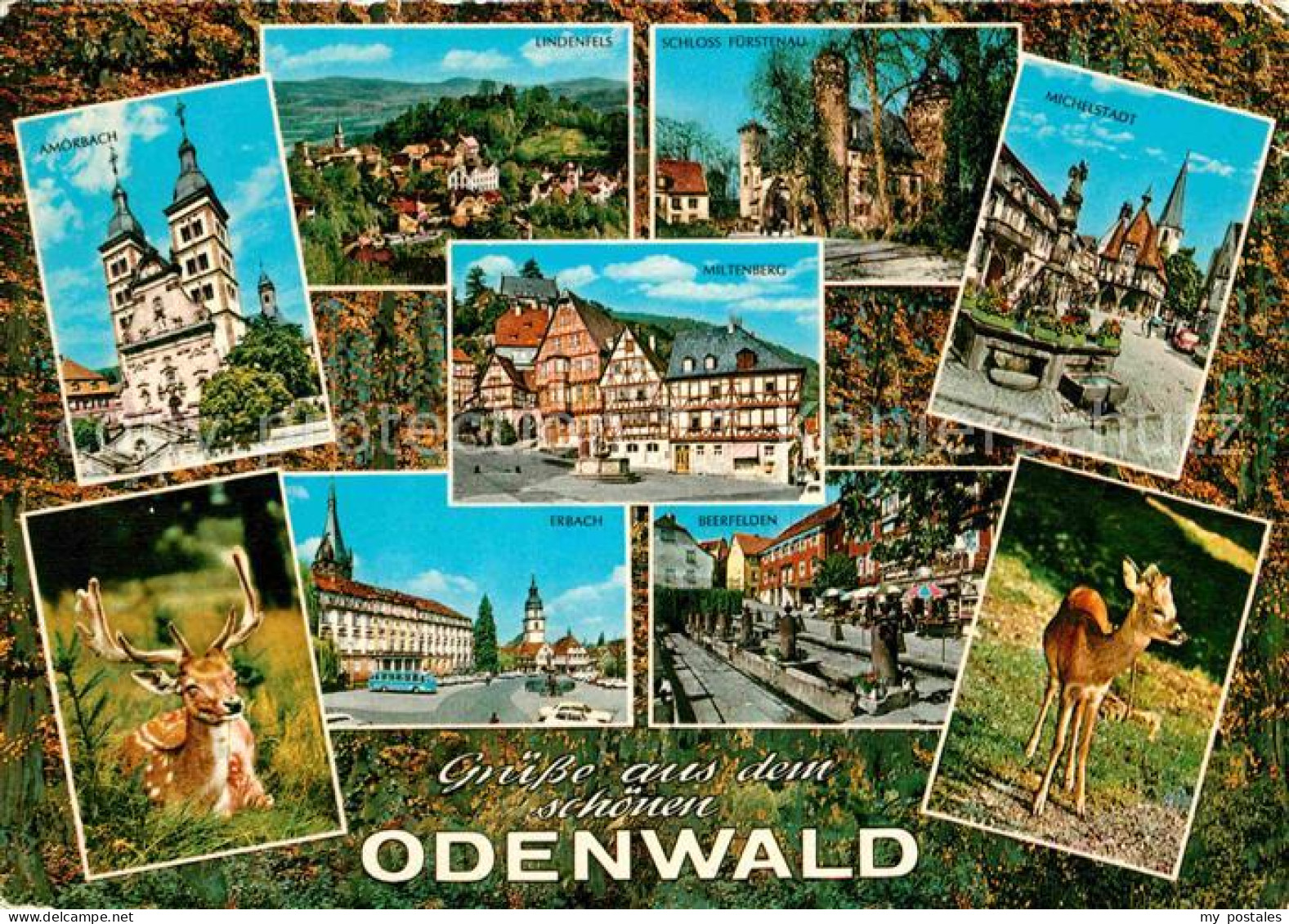 72705738 Odenwald Amoerbach Erbach Miltenberg Lindenfels Michelstadt Odenwald - Zu Identifizieren