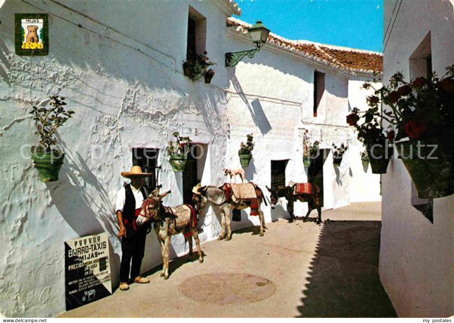 72705314 Mijas Parada De Burros Taxis Esel Lasttiere Mijas - Andere & Zonder Classificatie