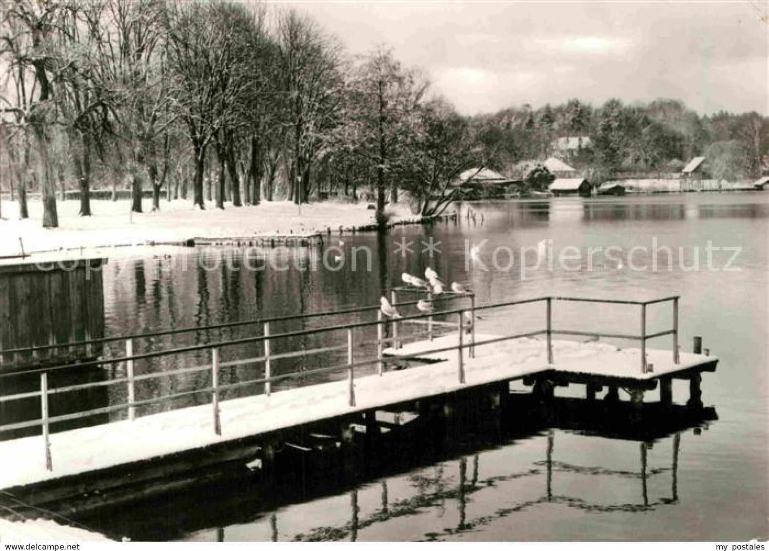 72704832 Feldberg Mecklenburg See Feldberger Seenlandschaft - Andere & Zonder Classificatie