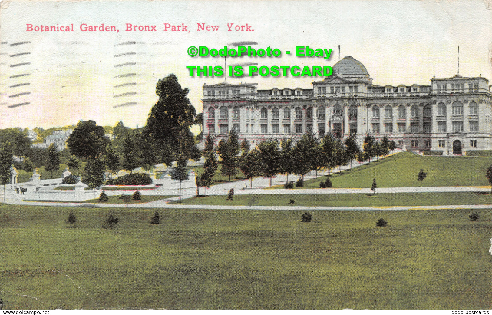 R422721 New York. Bronx Park. Botanical Garden. No. 1127. 1913 - Welt