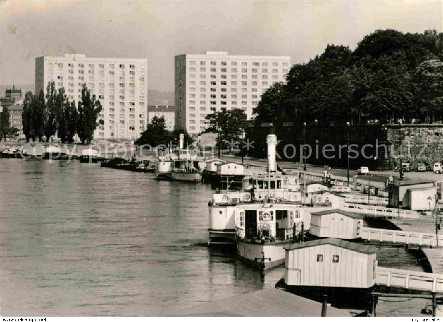 72704129 Dresden Terrassenufer Dresden Elbe - Dresden