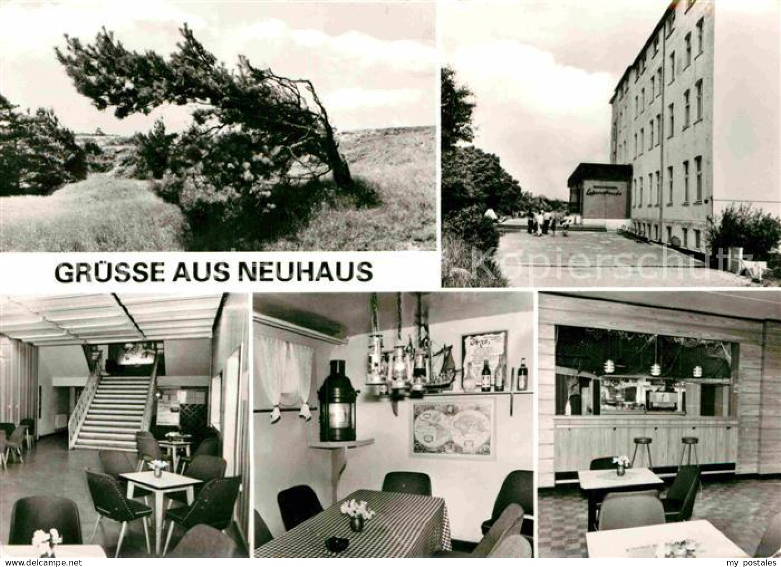 72703508 Neuhaus Dierhagen Ferienheim Lebensfreude Gaststaette Baeume Im Sturm N - Autres & Non Classés
