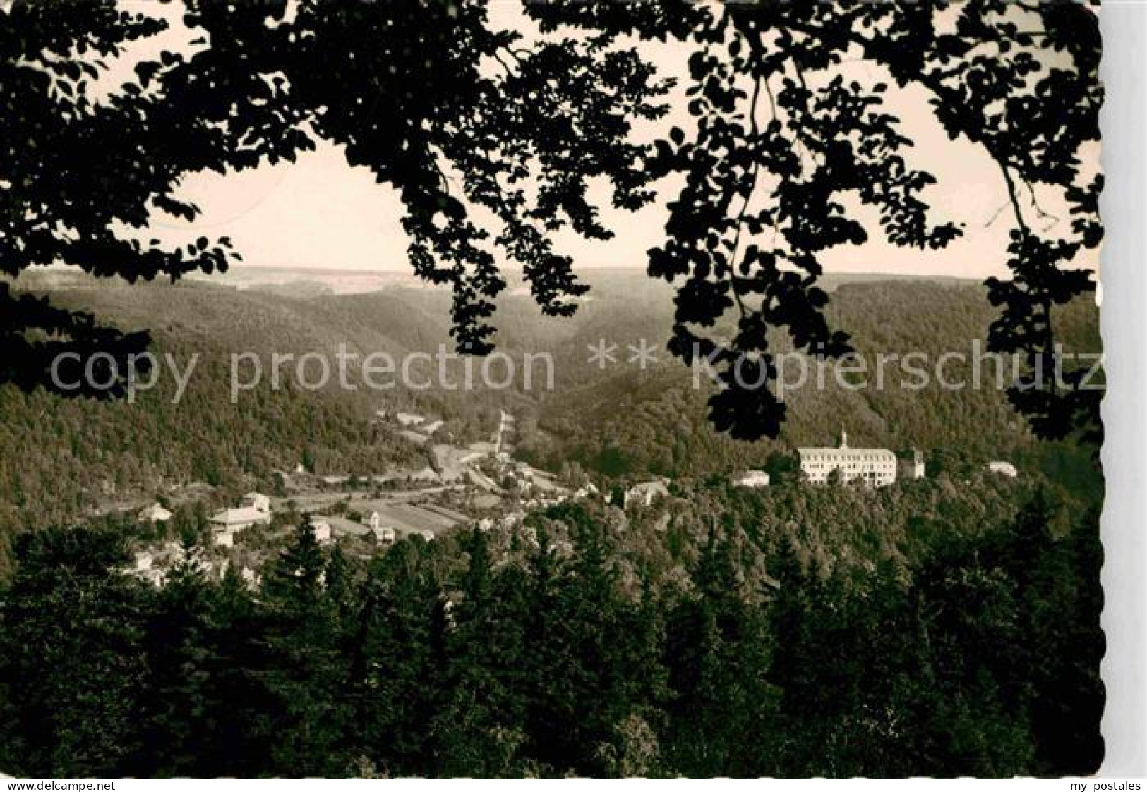 72703468 Schwarzburg Thueringer Wald Panorama Blick Vom Taennich Schwarzburg - Sonstige & Ohne Zuordnung