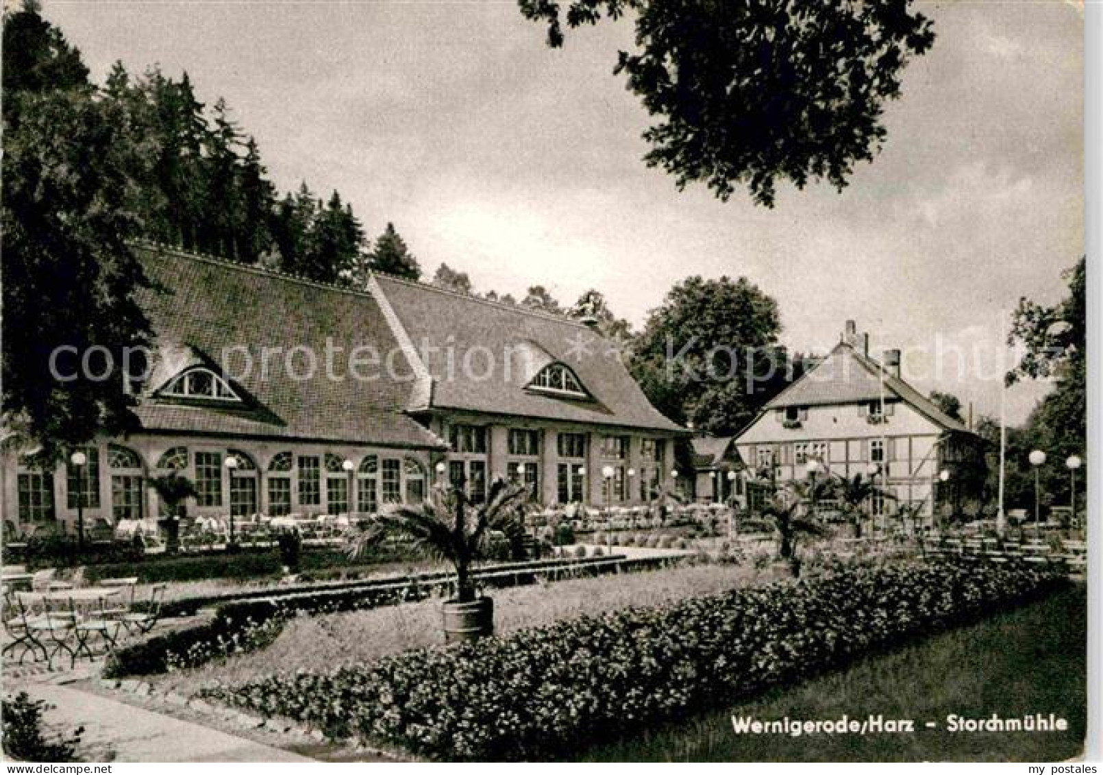 72703430 Wernigerode Harz Storchmuehle Gaststaette Restaurant Wernigerode Harz - Wernigerode