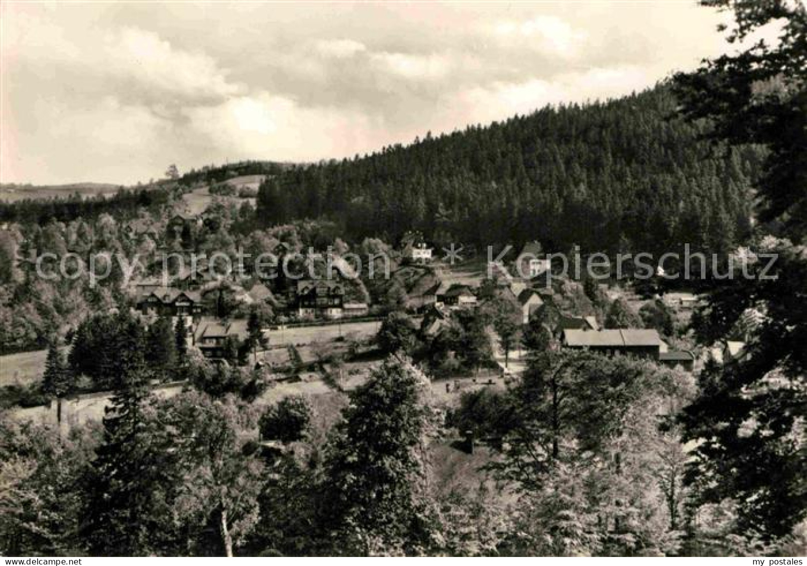 72702243 Baerenfels Erzgebirge Panorama  Altenberg - Altenberg