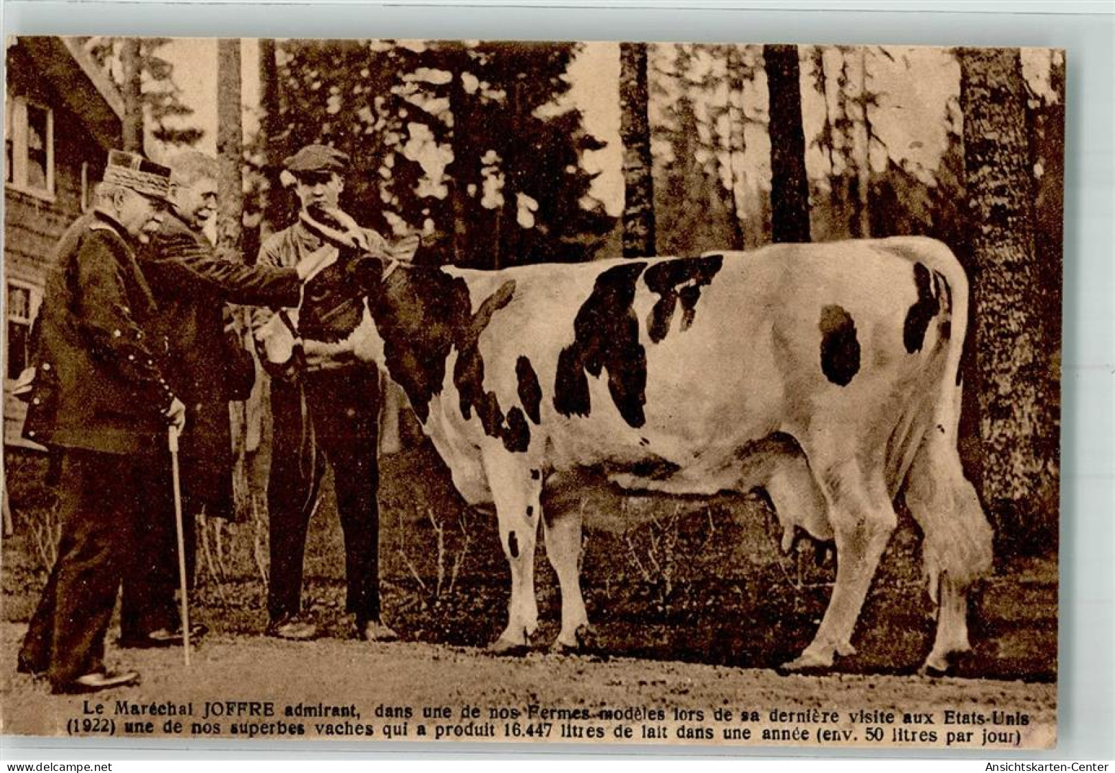 39800009 - Marechal Joffre Bauer Kuh - Autres & Non Classés