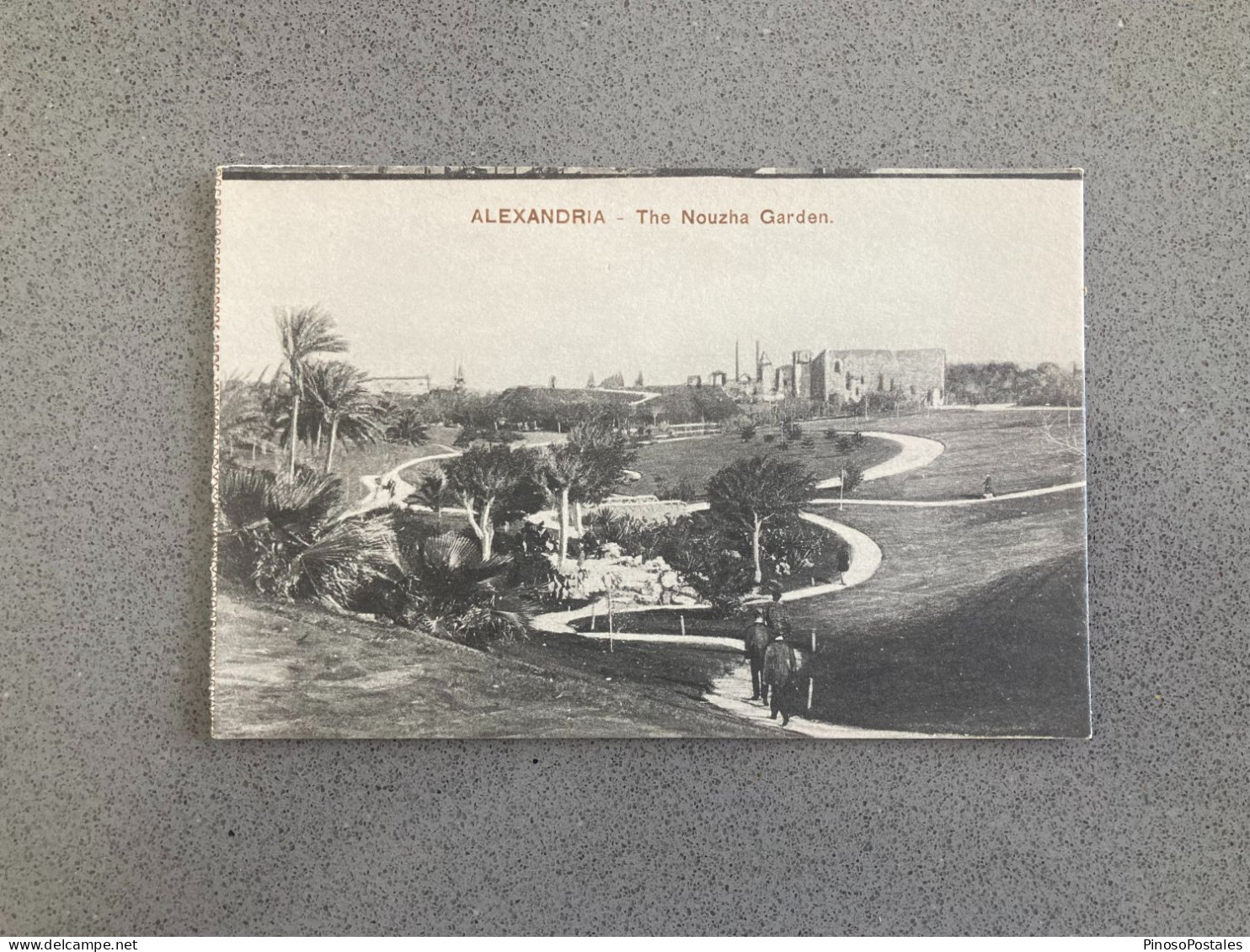 Alexandria The Nouzha Garden Carte Postale Postcard - Alexandria