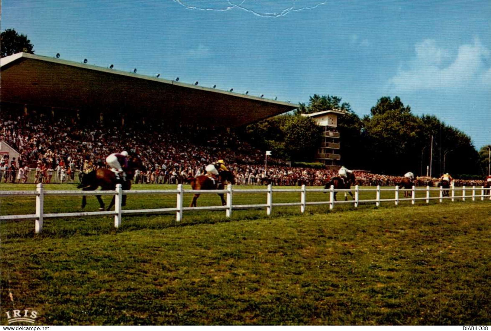 VICHY    ( ALLIER )     L ' HYPPODROME. PASSAGE DE LA COURSE DEVANT LA TRIBUNE    ( PLIS EN HAUT ) - Vichy