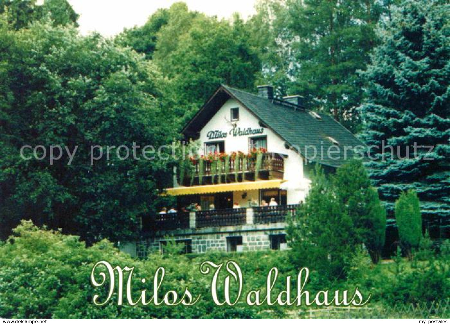 72700104 Weissenborn Erzgebirge Milos Waldhaus  - Other & Unclassified