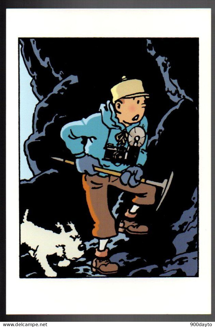 TINTIN. Tintin Au Tibet. - Comicfiguren
