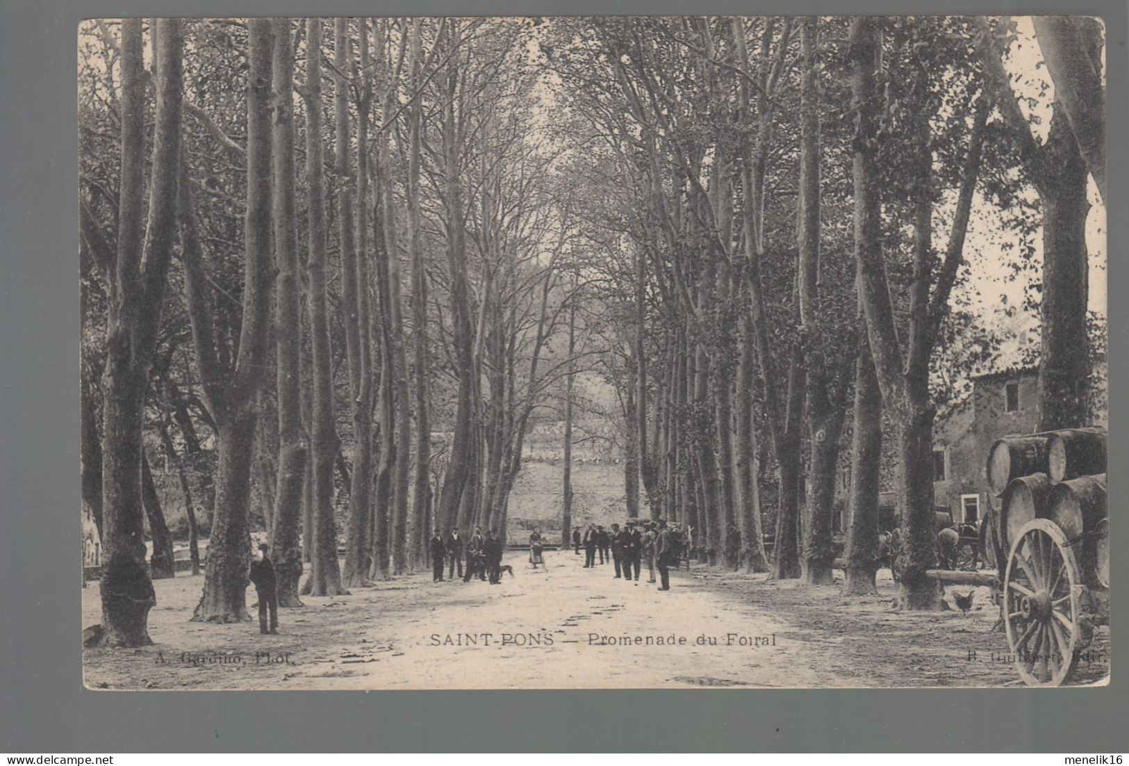 CP - 30 - Saint-Pons - Promenade Du Foiral - Sonstige & Ohne Zuordnung