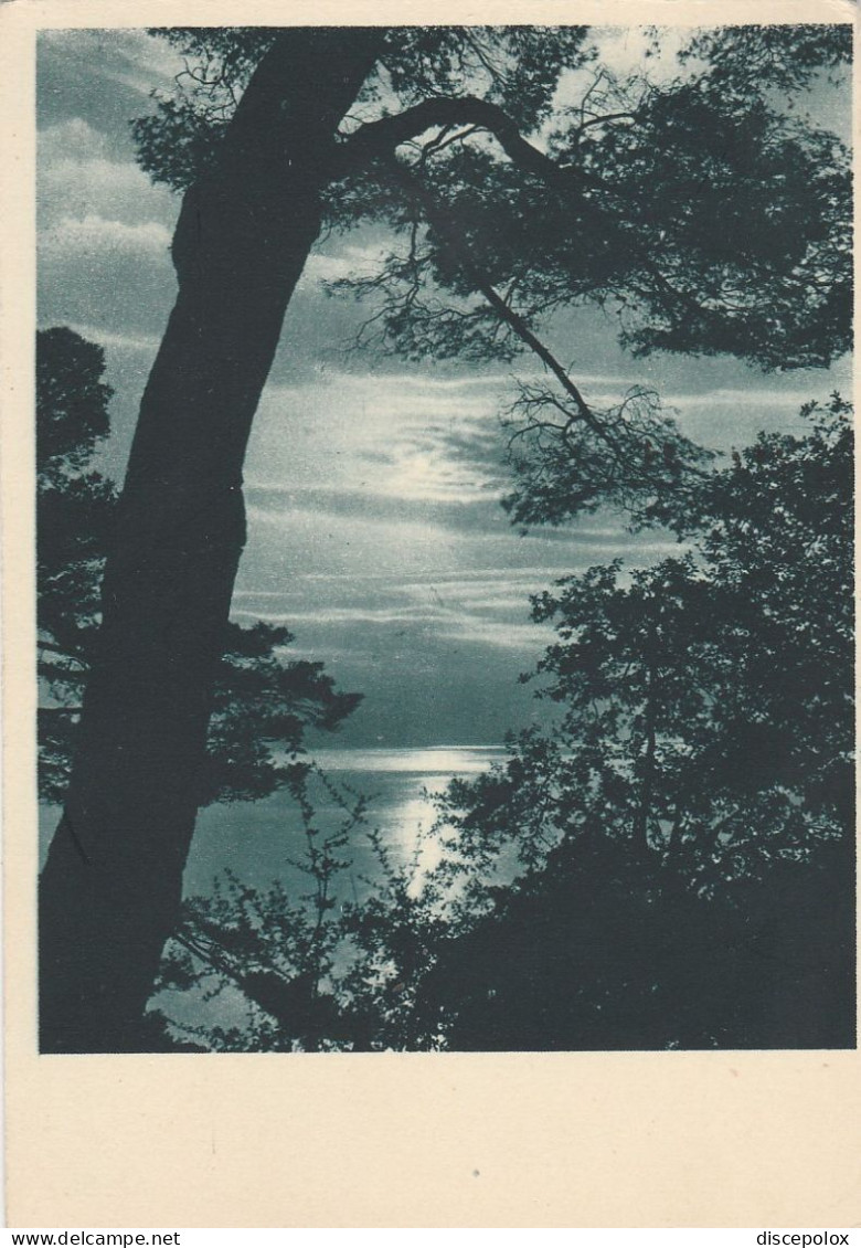 AD447 Cartolina Da Identificare - Paesaggio Lacustre O Marino - Panorama / Viaggiata 1954 - Autres & Non Classés