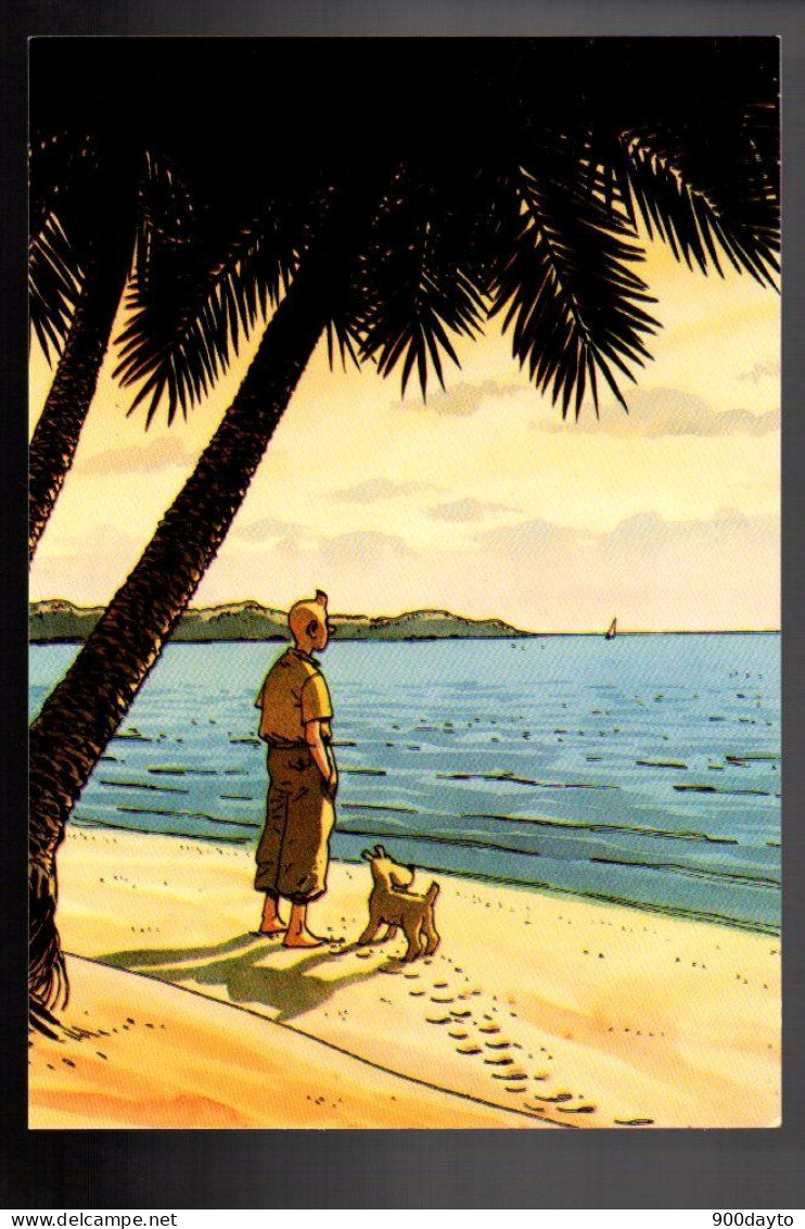 TINTIN. Lot De 5 CP. - Bandes Dessinées