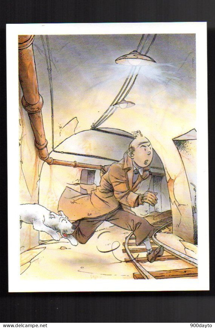 TINTIN. Carton (carte Postale?) (Illustration Somon). - Bandes Dessinées