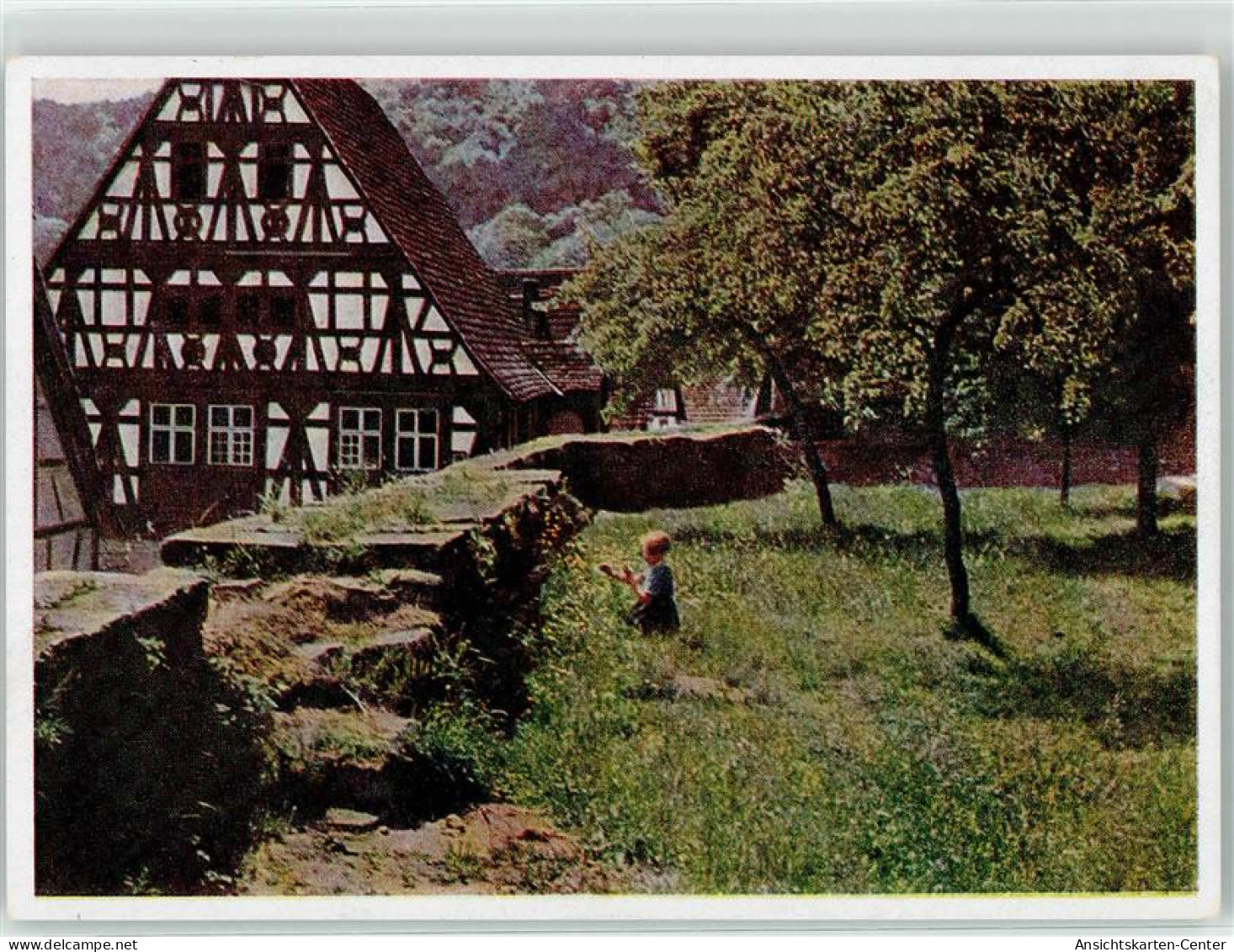 52055009 - Doerrenbach , Pfalz - Bad Bergzabern