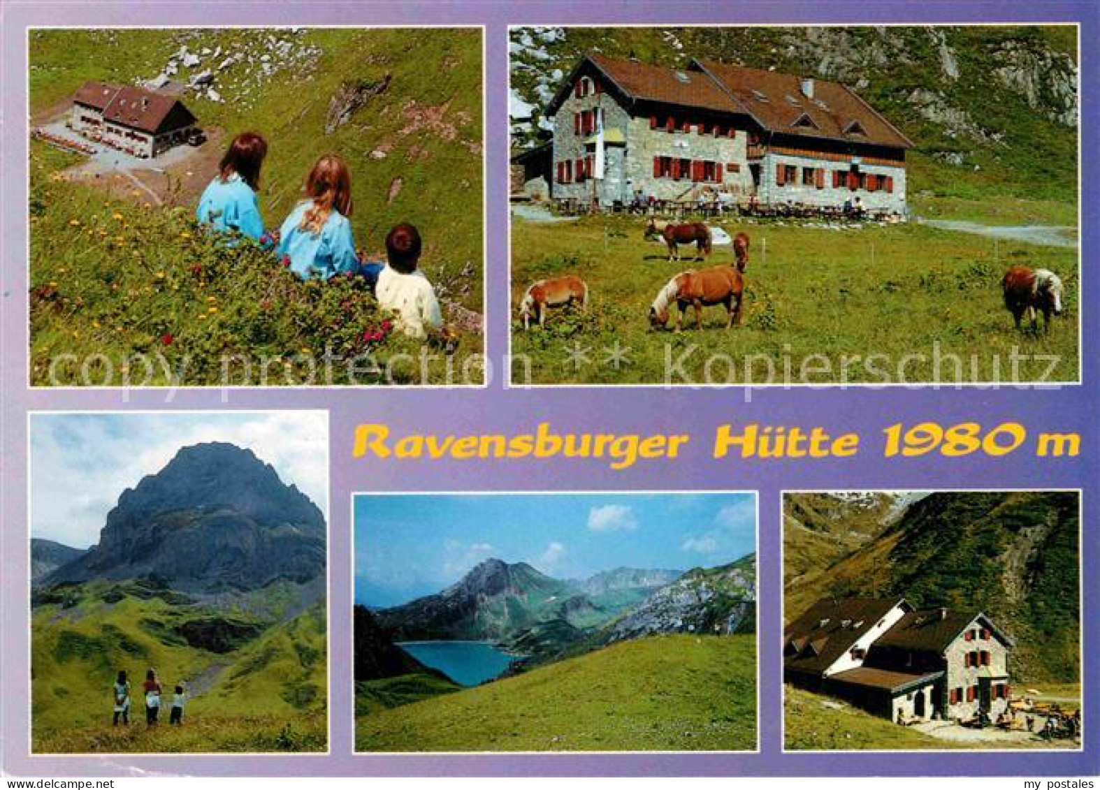 72698717 Lech Vorarlberg Ravensburger Huette Am Spullersee Haflinger Pferde Alpe - Sonstige & Ohne Zuordnung