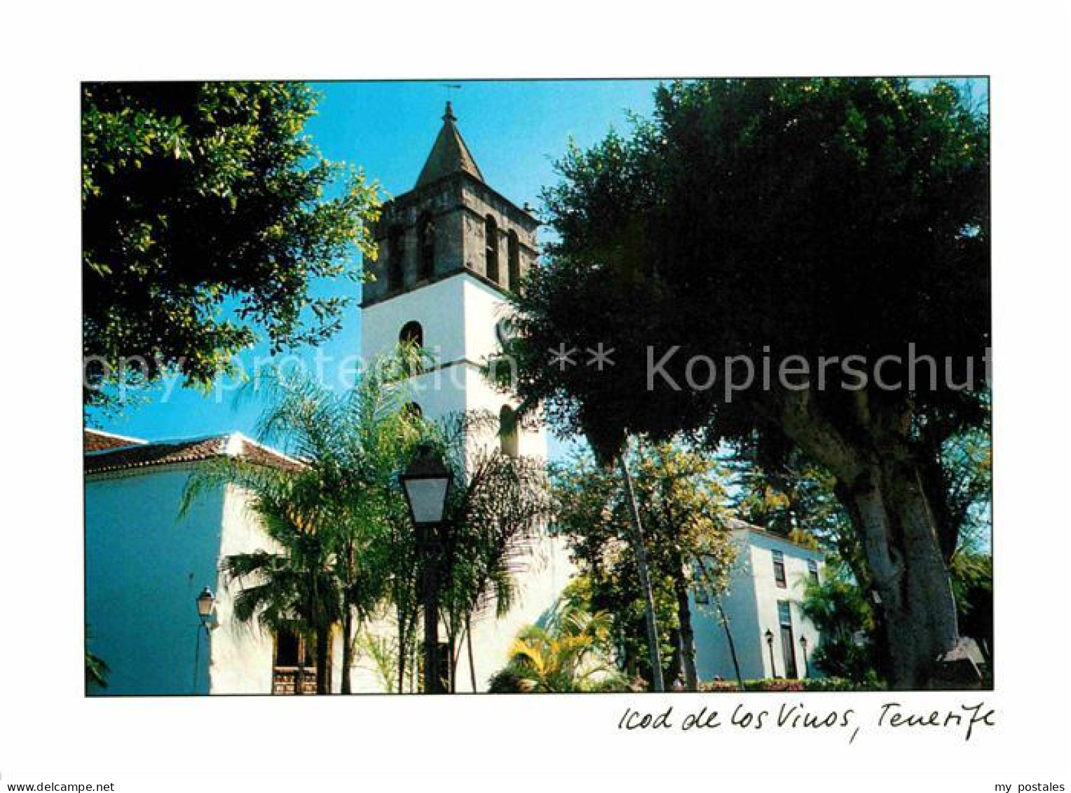 72698095 Tenerife Olivenbaum Kirche Islas Canarias Spanien - Autres & Non Classés