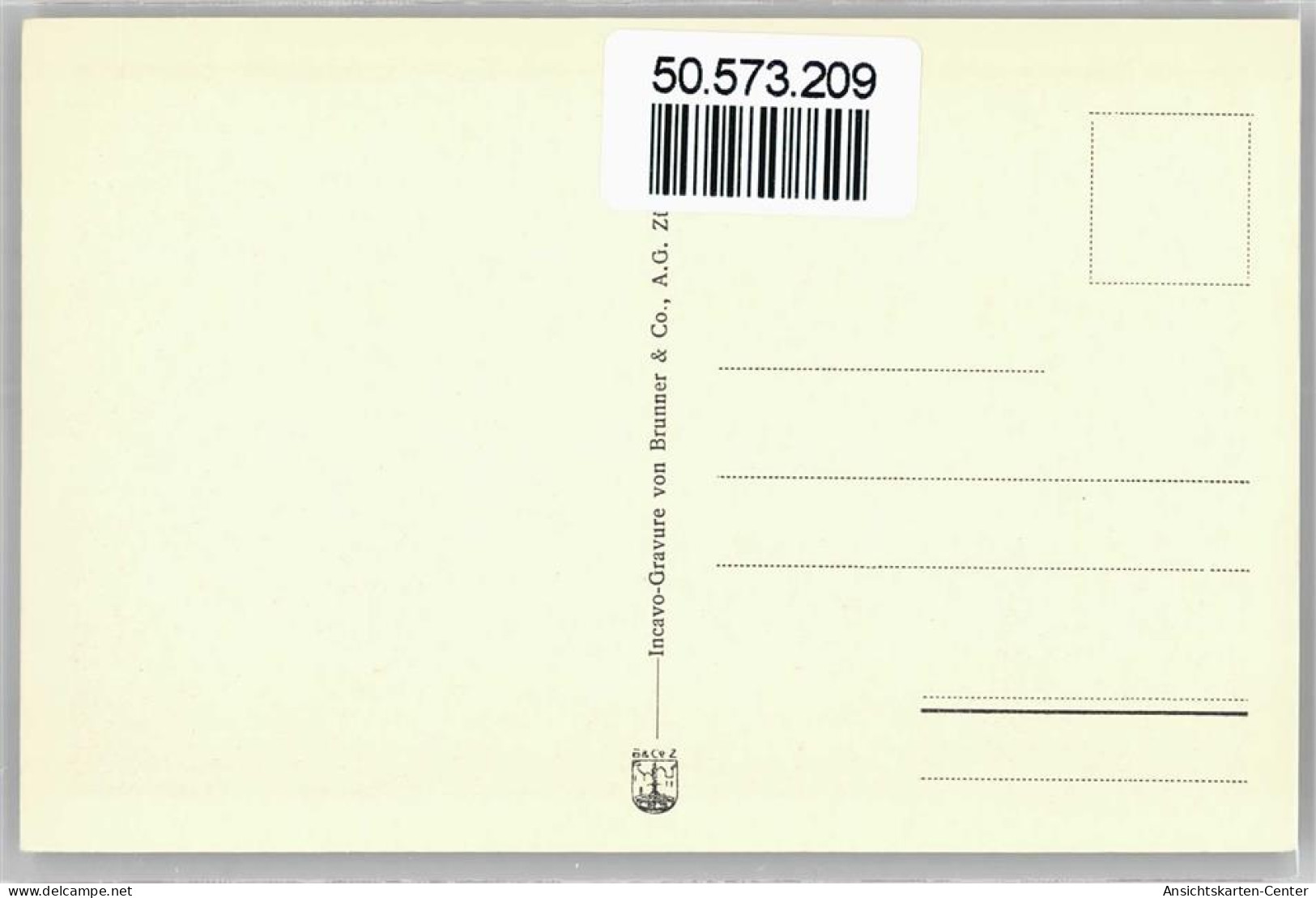 50573209 - Wildegg - Other & Unclassified