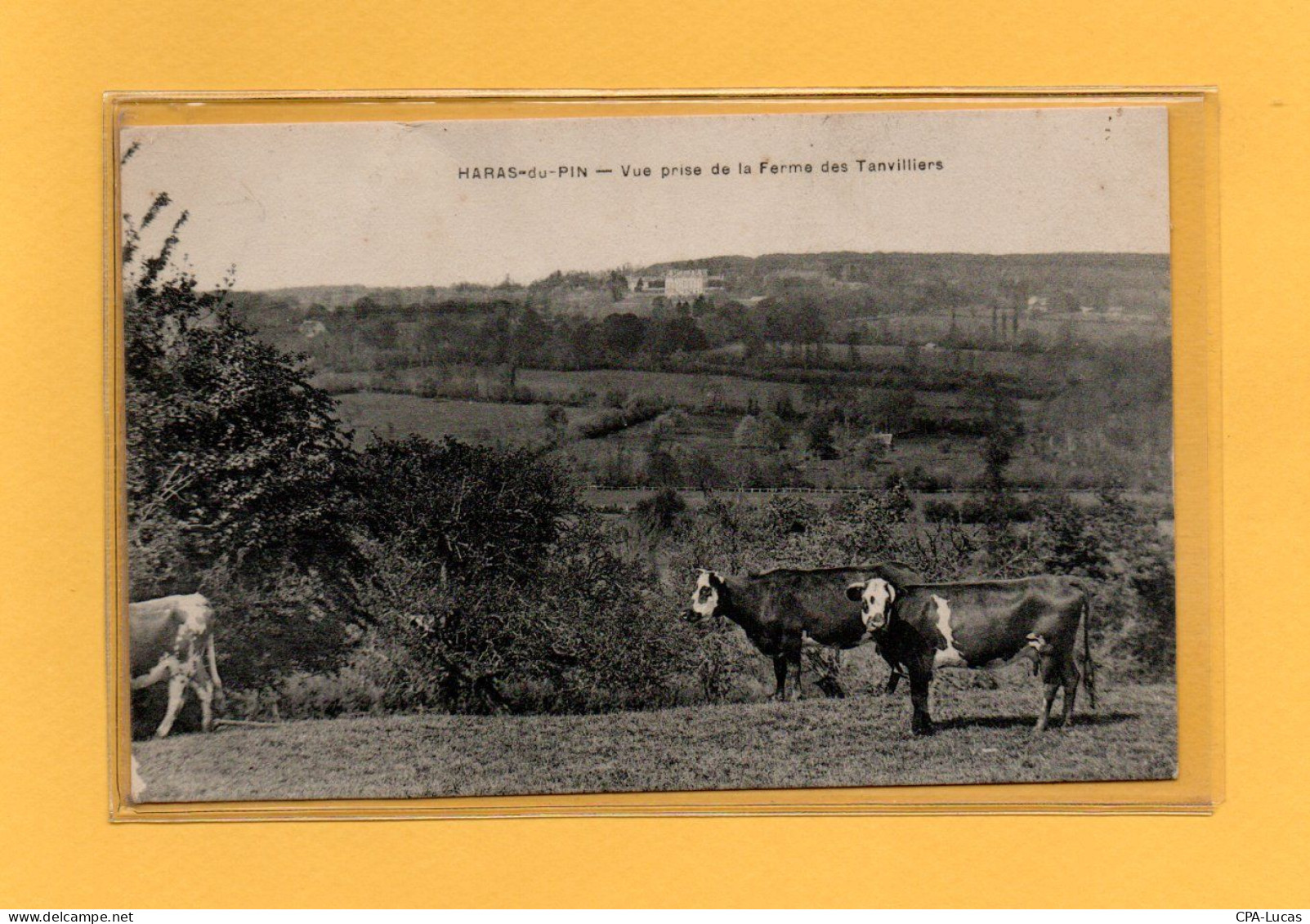 (15/05/24) 61-CPA LE HARAS DU PIN - Other & Unclassified