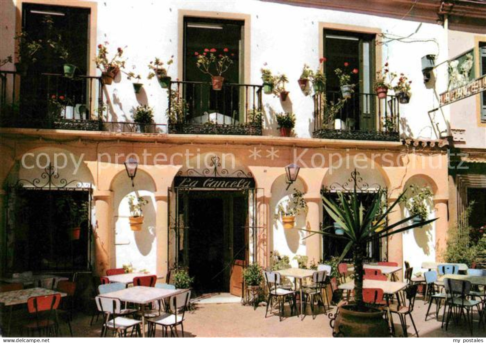 72696939 Malaga Andalucia Restaurant Cancela Malaga Andalucia - Andere & Zonder Classificatie