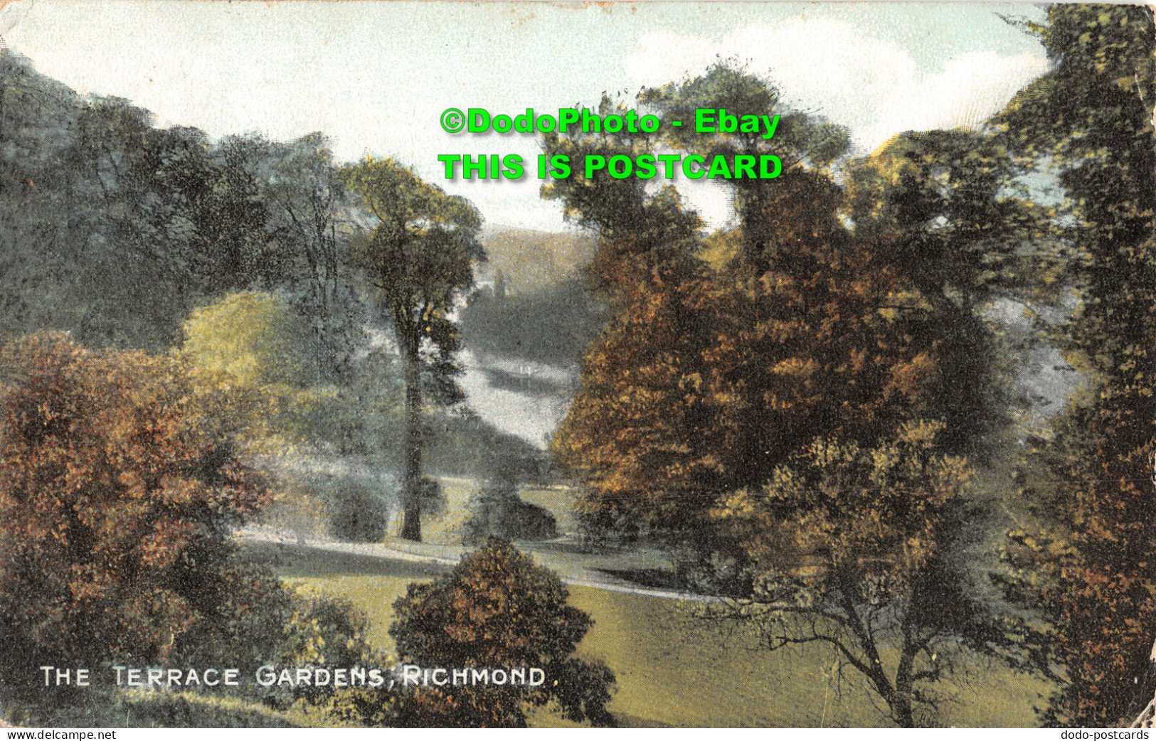 R449377 The Terrace Gardens. Richmond. M. And L. 1906 - Wereld