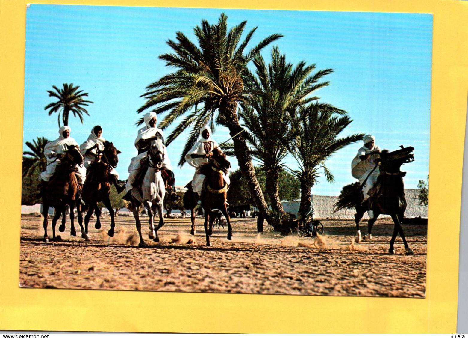 Fantasia TUNISIE  (Cavaliers Chevaux )    ( 21675 ) - Tunisia