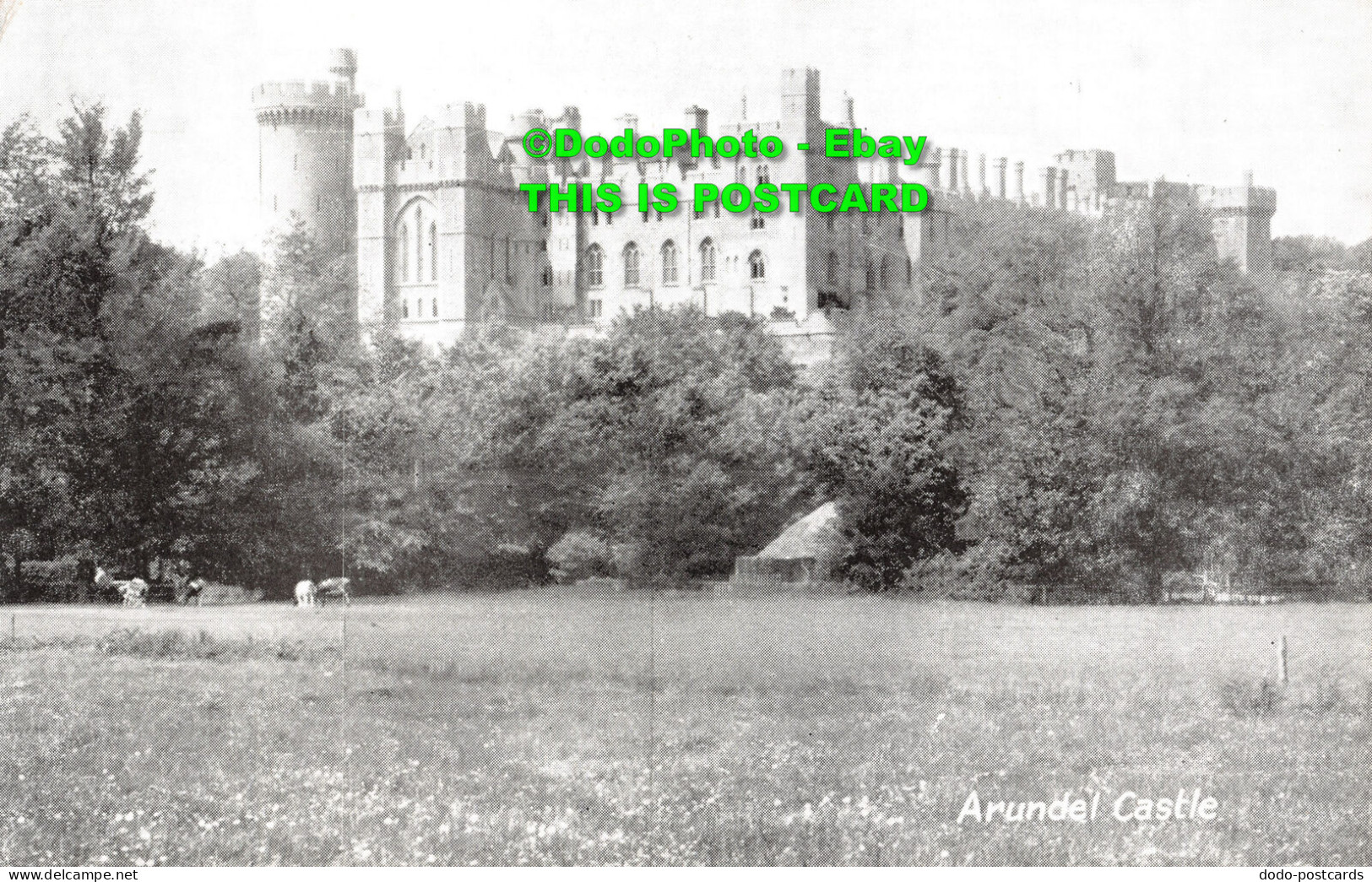 R449397 Arundel Castle - Wereld