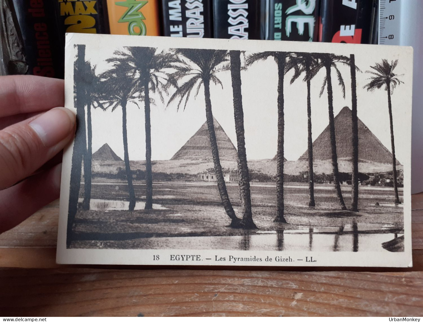 Carte Postale Egypte - Gizeh