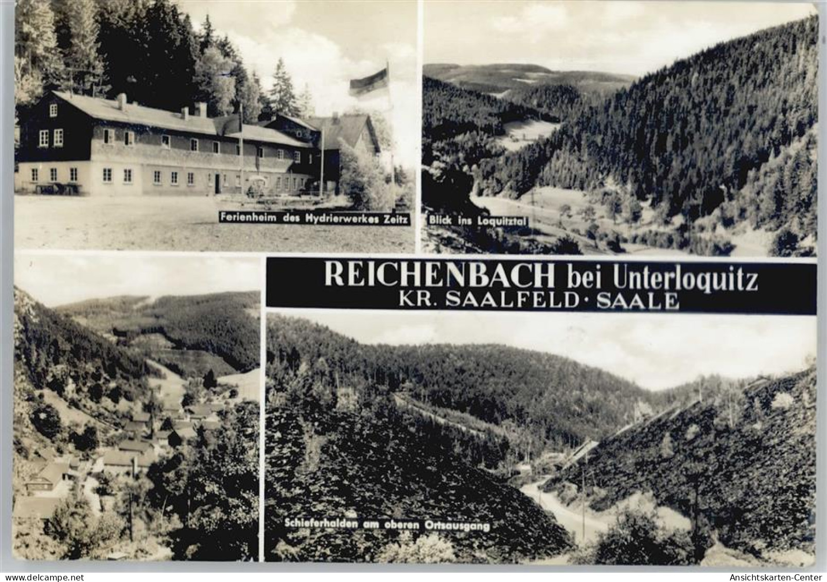 50557609 - Reichenbach B Saalfeld, Saale - Otros & Sin Clasificación